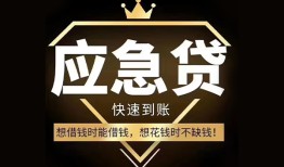 东莞借钱本地私借-东莞借钱贷款当天放款-东莞借钱私人身份证借私借