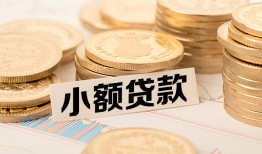 东莞借钱哪里有小额贷款-东莞借钱身份证贷款平台-东莞借钱民间短借